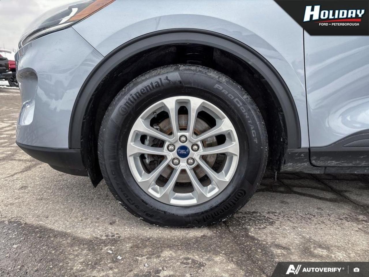 2022 Ford Escape SE Photo