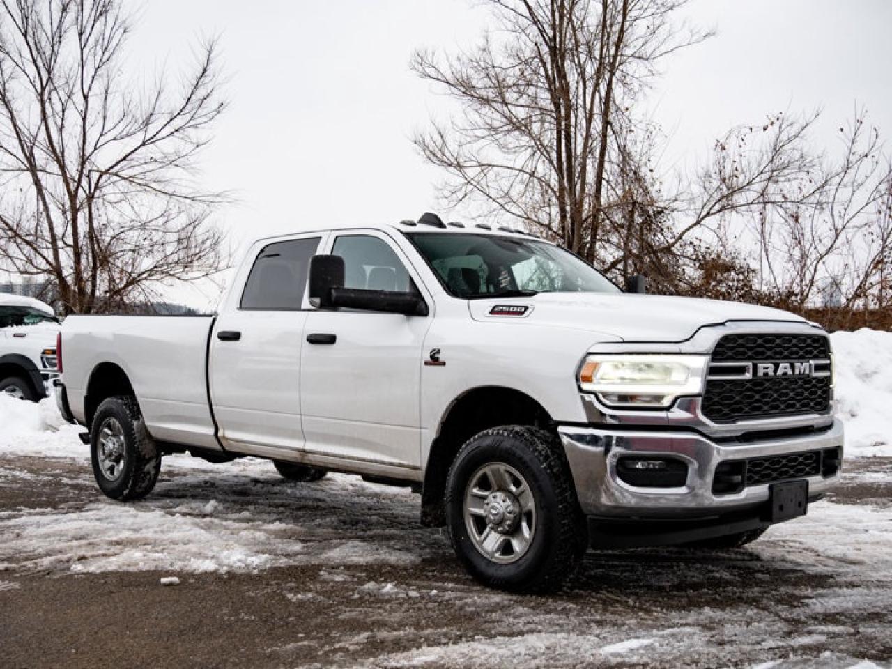 2019 RAM 2500 Tradesman Photo