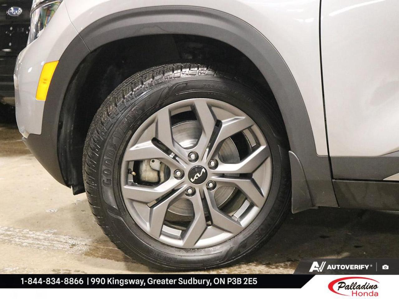 2025 Kia Seltos EX Photo