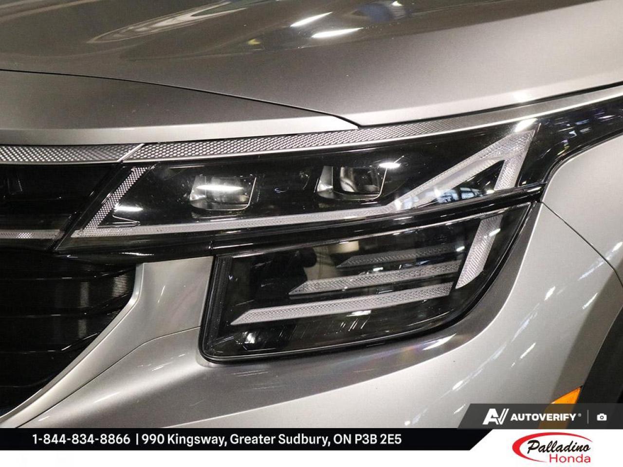 2025 Kia Seltos EX Photo