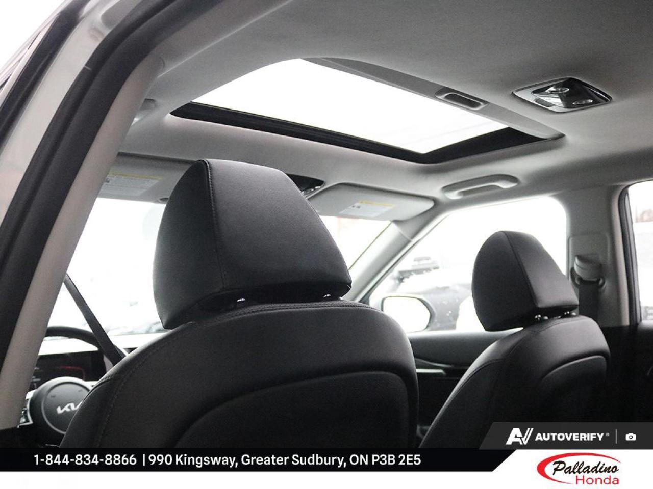 2025 Kia Seltos EX Photo