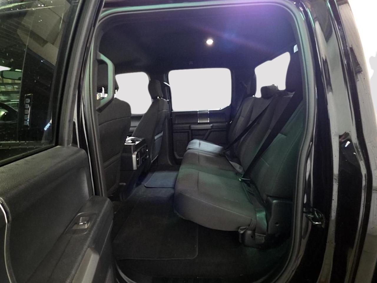 2020 Ford F-150 XLT Photo