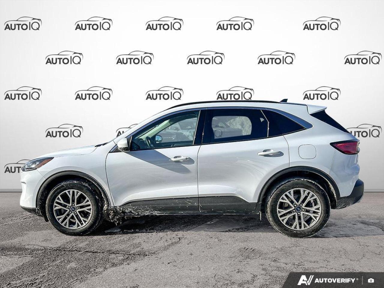 2022 Ford Escape SEL Hybrid 303A|MOONROOF|COPILOT PKG| 1 OWNER Photo