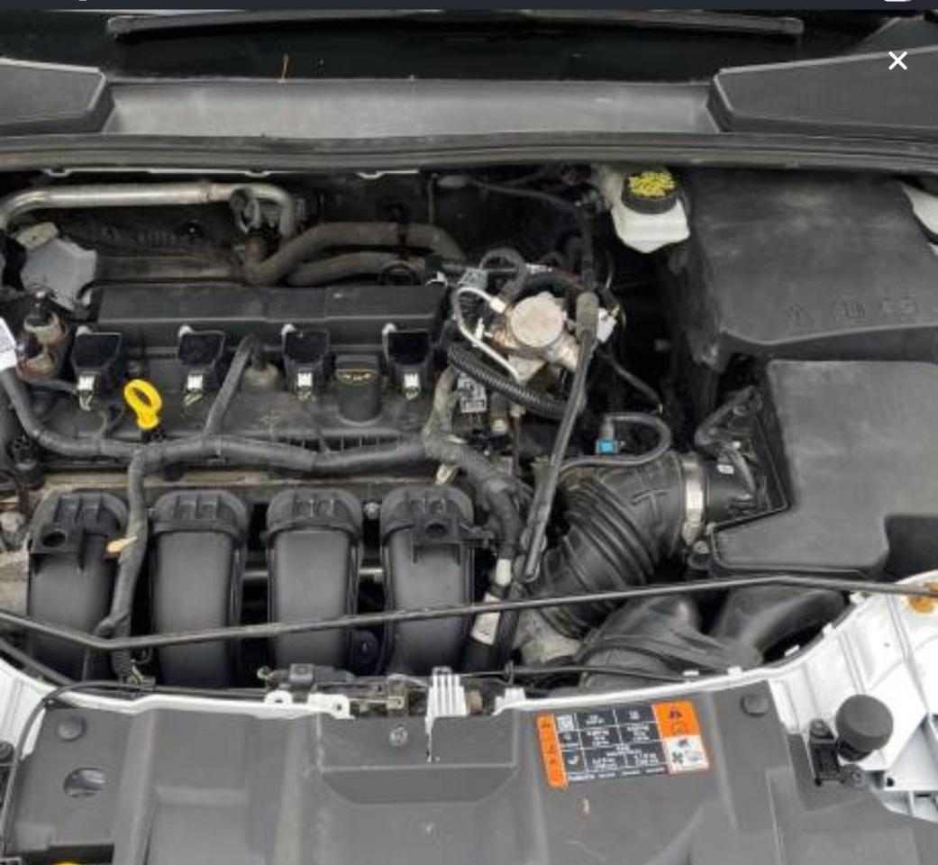 2017 Ford Focus SEL - Photo #9