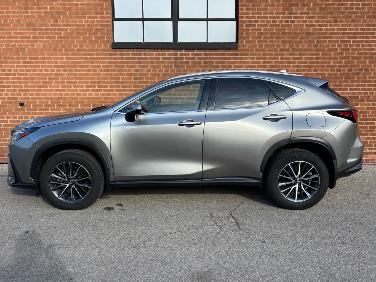 2022 Lexus NX NX 250 AWD *Ltd Avail* Photo2