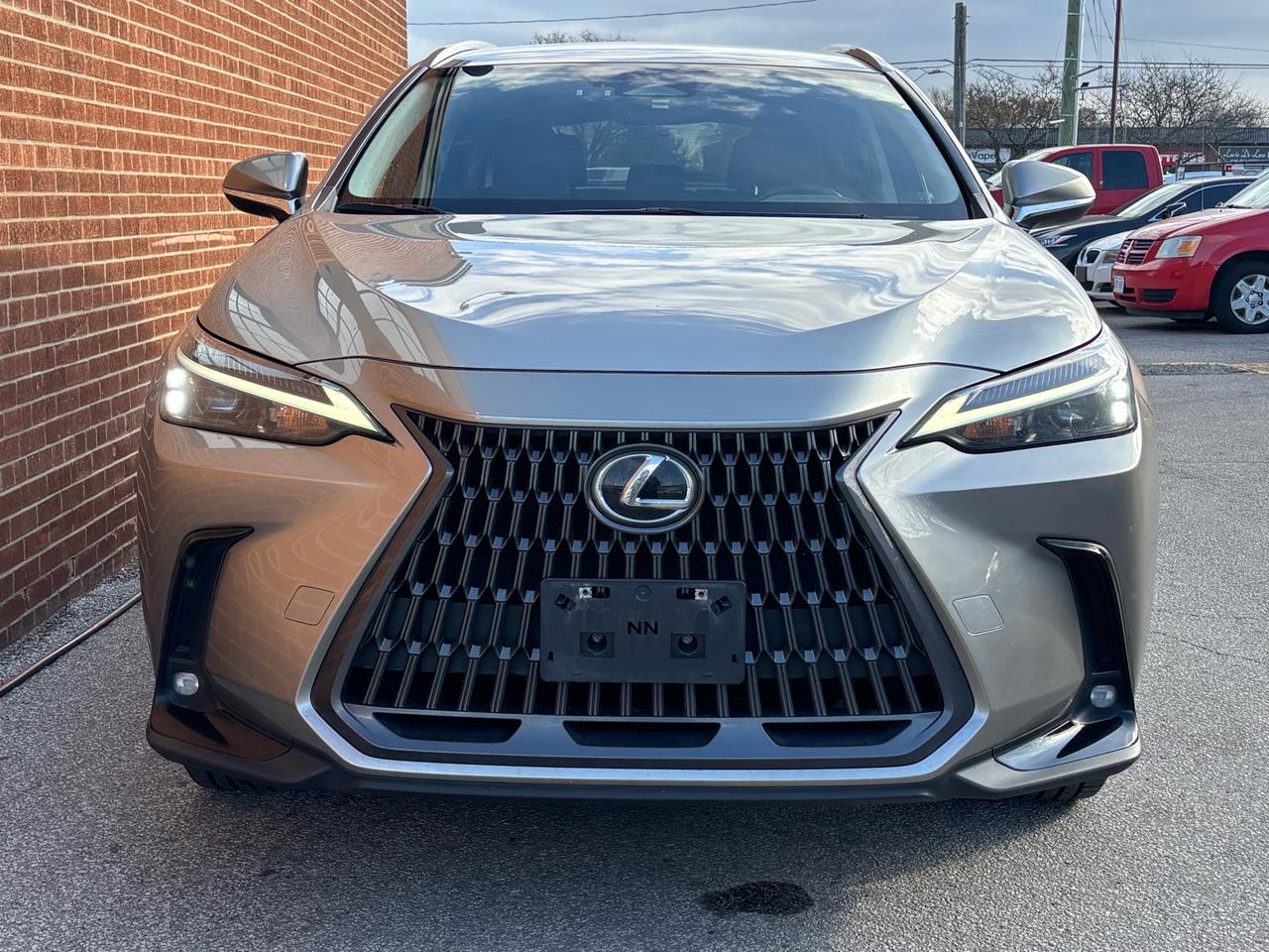2022 Lexus NX NX 250 AWD *Ltd Avail* Photo5