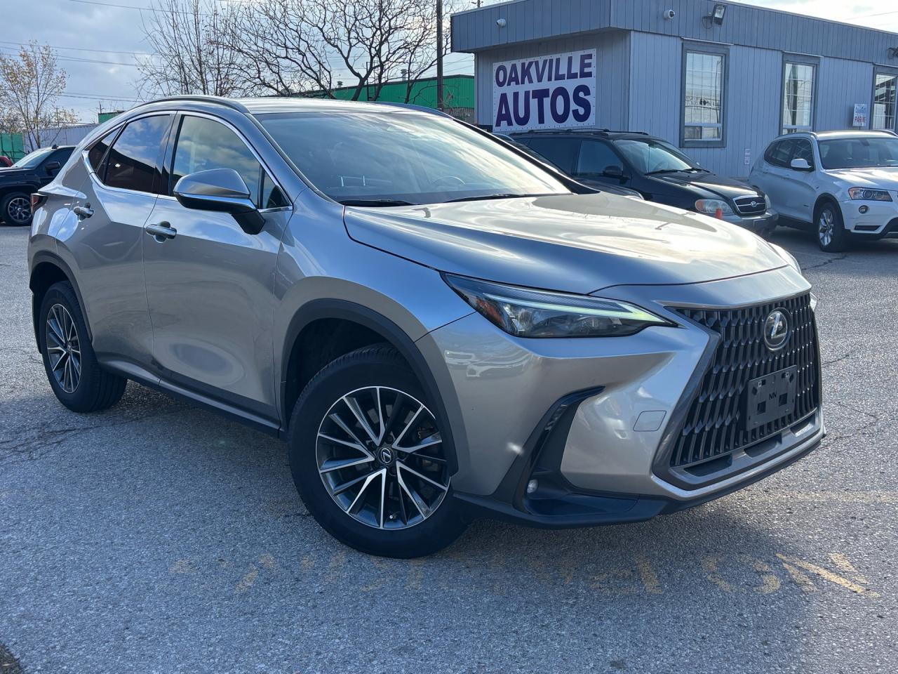 2022 Lexus NX NX 250 AWD *Ltd Avail* Photo