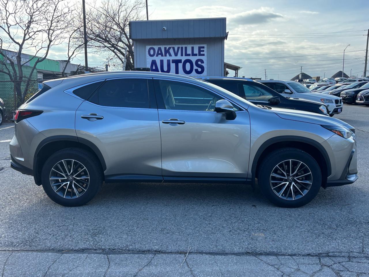 2022 Lexus NX NX 250 AWD *Ltd Avail* Photo