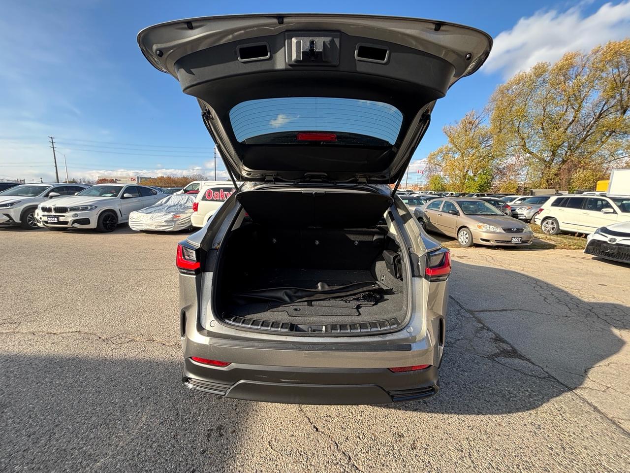 2022 Lexus NX NX 250 AWD *Ltd Avail* Photo