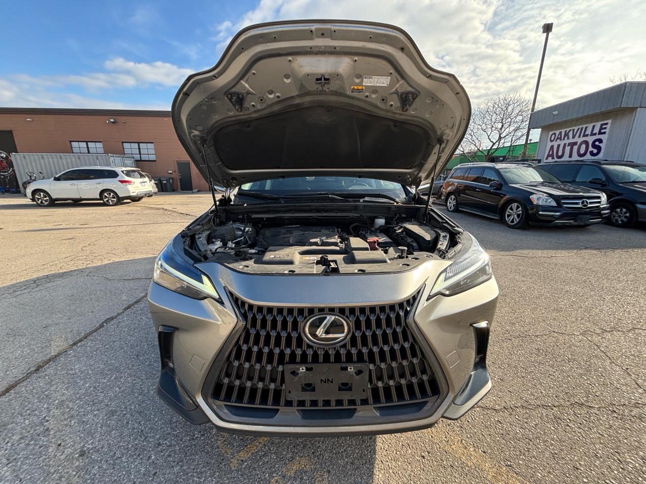 2022 Lexus NX NX 250 AWD *Ltd Avail* Photo