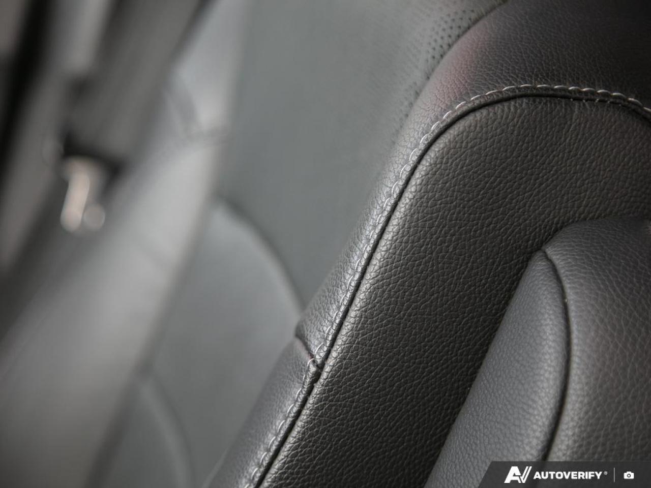 2021 Honda Passport  Photo