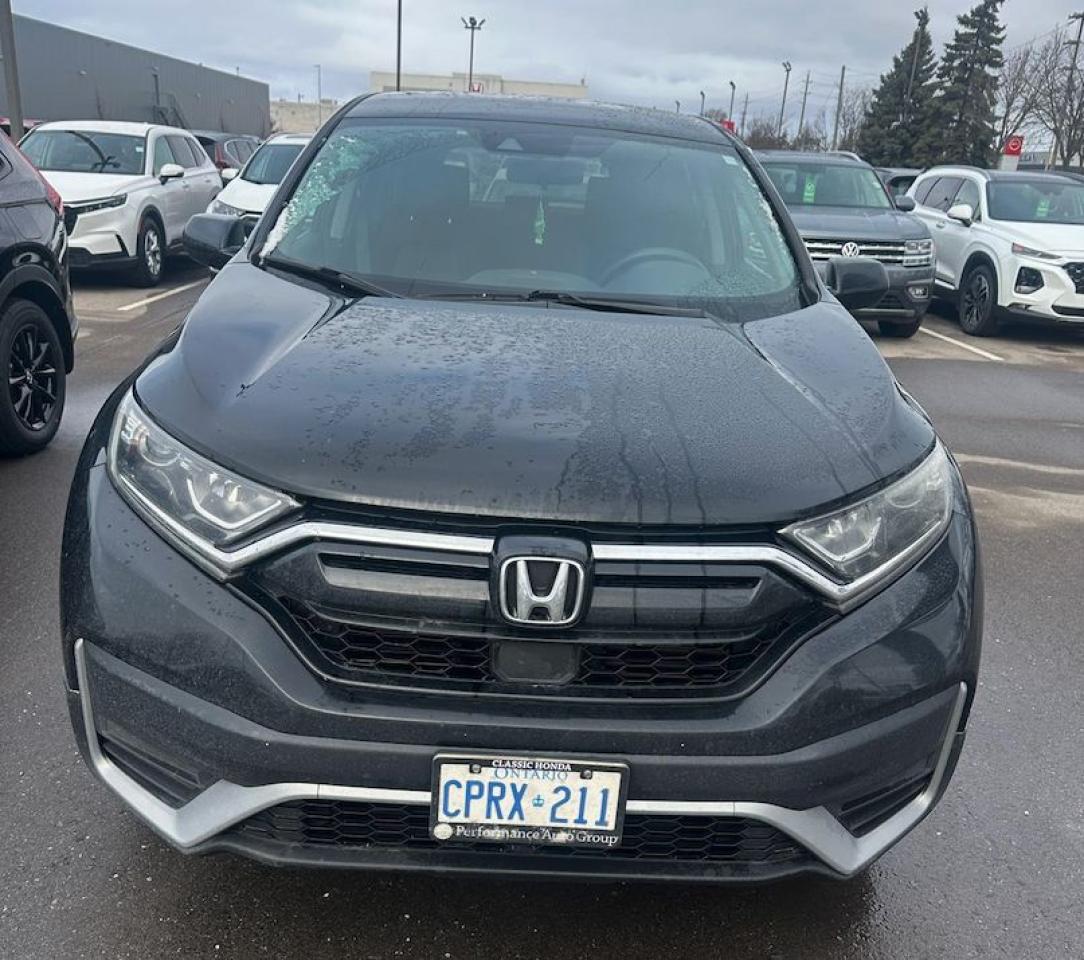 2020 Honda CR-V LX | AWD | CarPlay | Cam | 1 Owner | Clean Carfax Photo12