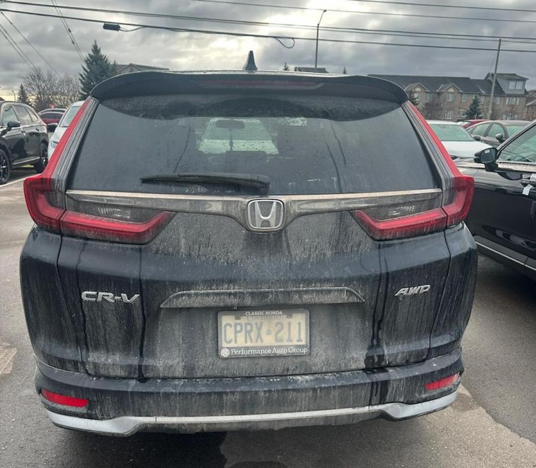 2020 Honda CR-V LX | AWD | CarPlay | Cam | 1 Owner | Clean Carfax Photo13