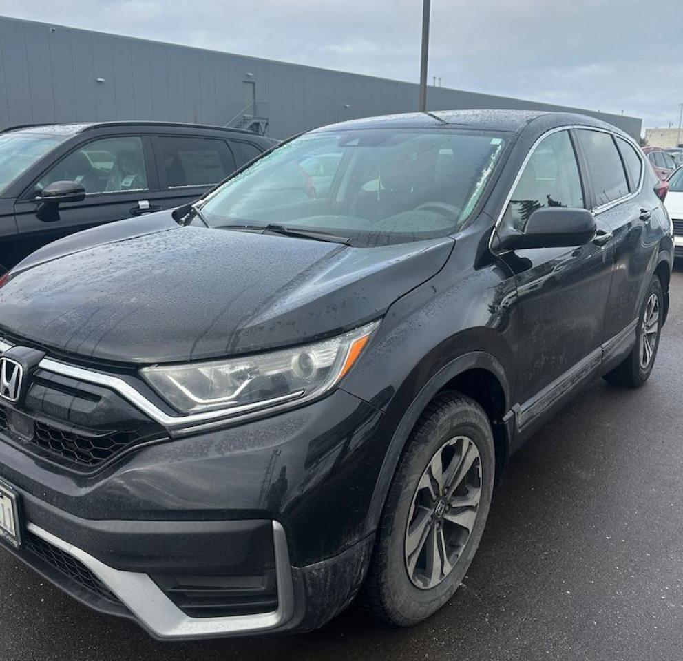 2020 Honda CR-V LX | AWD | CarPlay | Cam | 1 Owner | Clean Carfax Photo14
