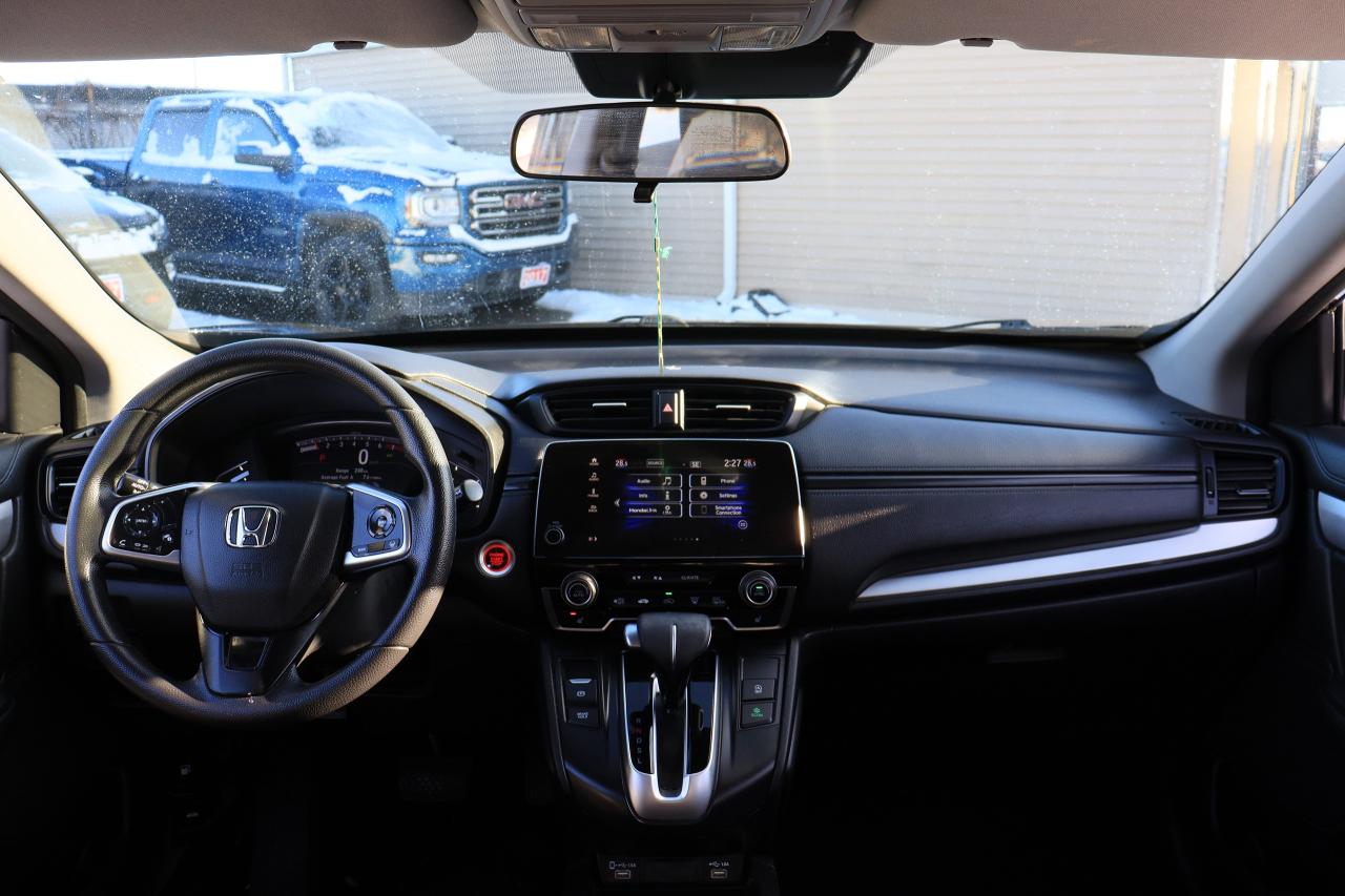 2020 Honda CR-V LX | AWD | Adap Cruise | Lane Assist | Cam | Tints Photo