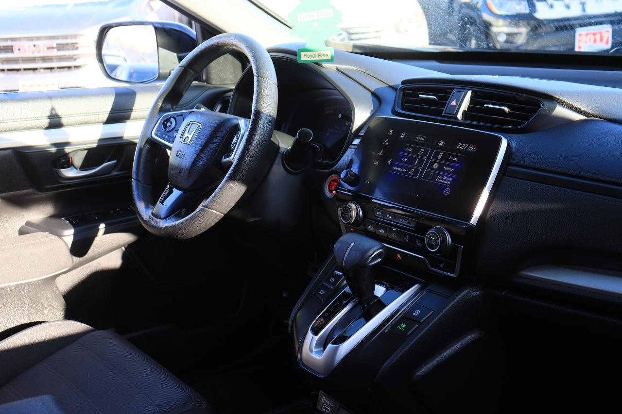 2020 Honda CR-V LX | AWD | Adap Cruise | Lane Assist | Cam | Tints Photo
