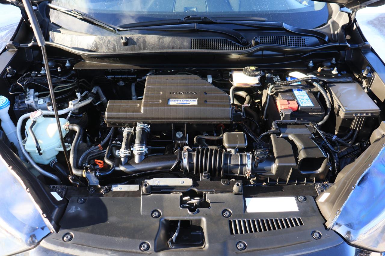 2020 Honda CR-V LX | AWD | Adap Cruise | Lane Assist | Cam | Tints Photo