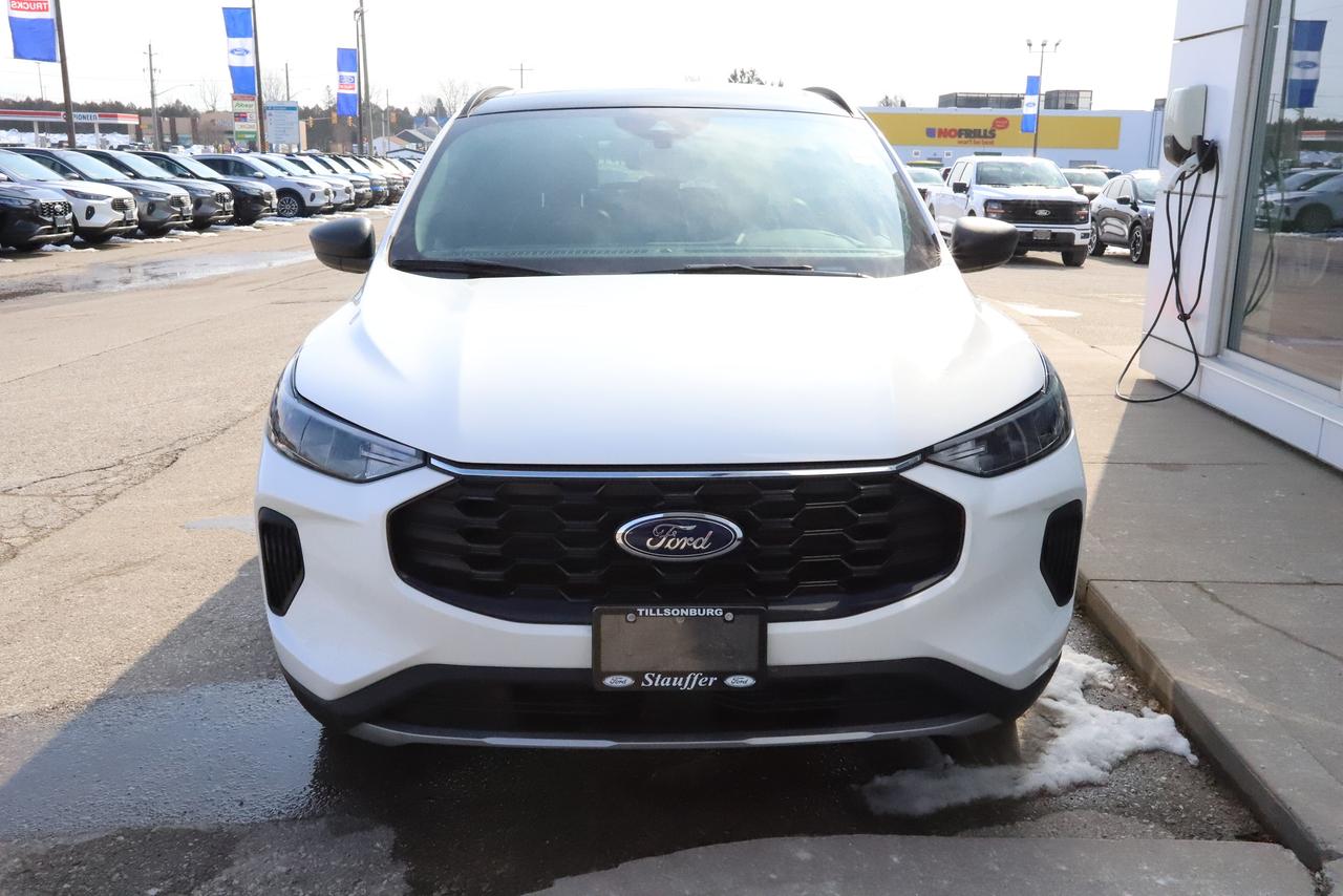2025 Ford Escape ST-Line AWD Photo