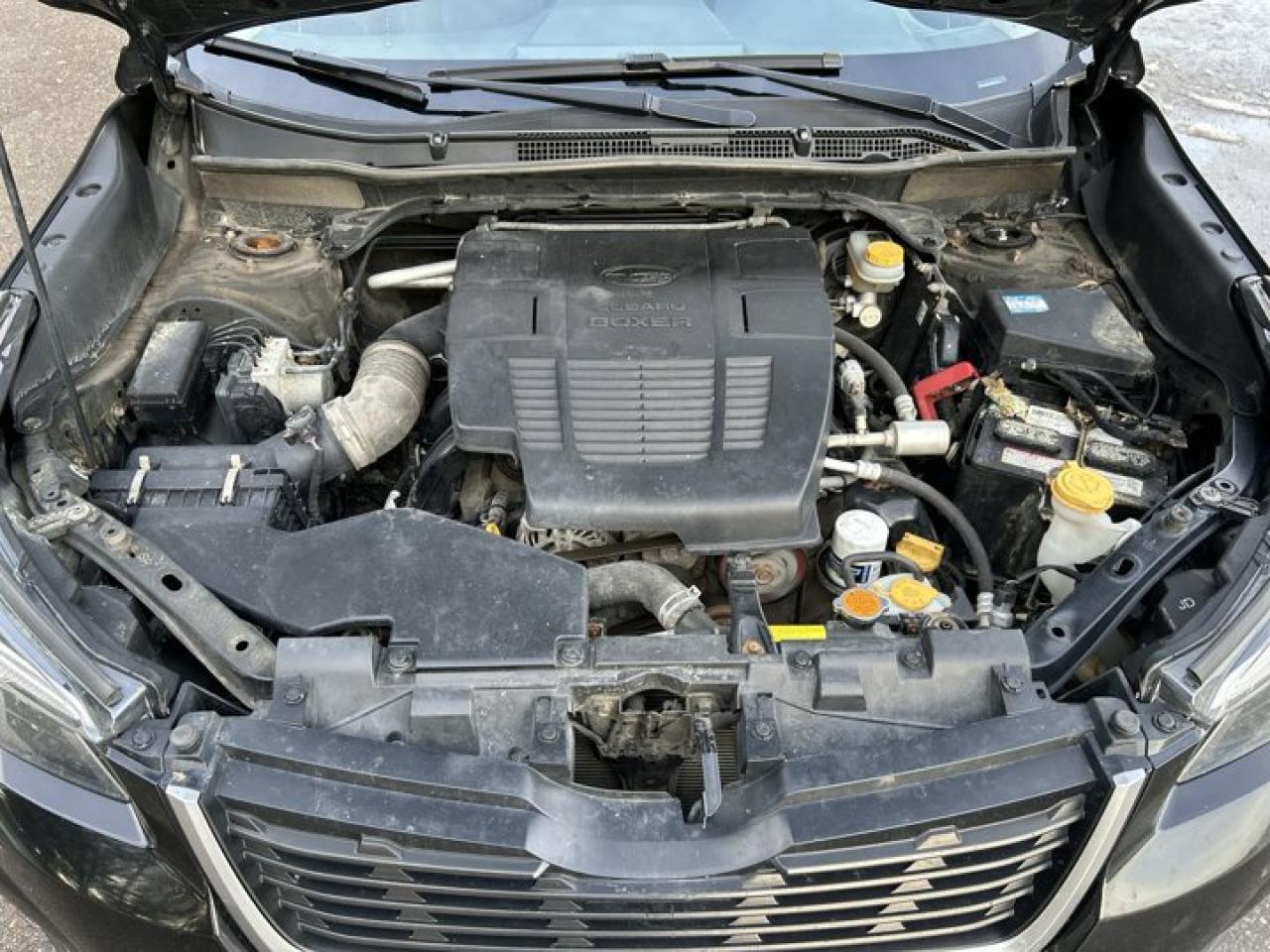 2019 Subaru Forester 2.5i AWD Photo