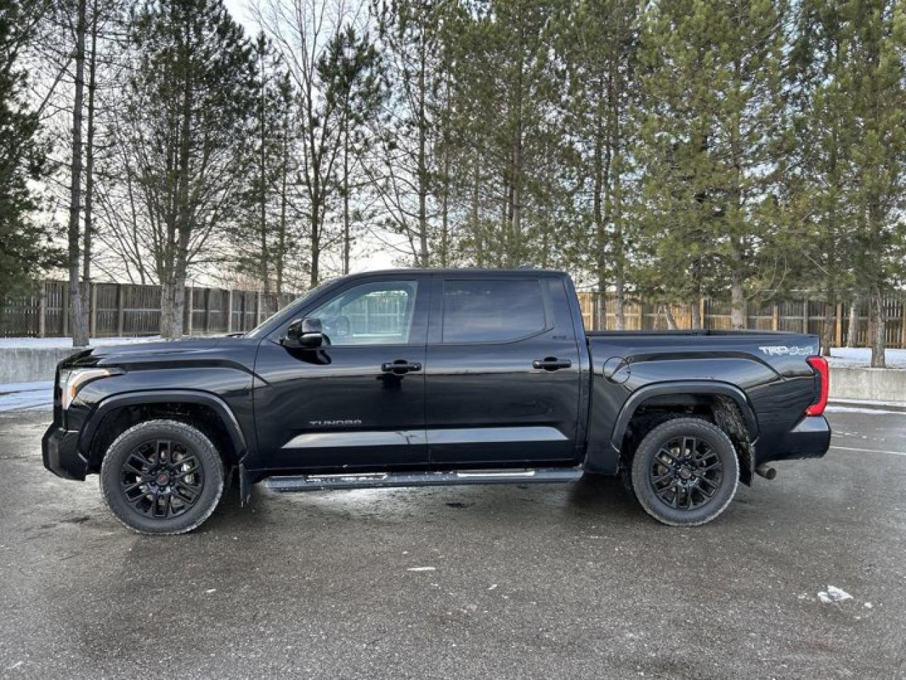 2023 Toyota Tundra SR5 TRD Sport 4X4 Crew Max Photo