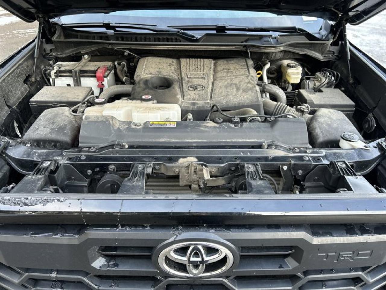 2023 Toyota Tundra SR5 TRD Sport 4X4 Crew Max Photo