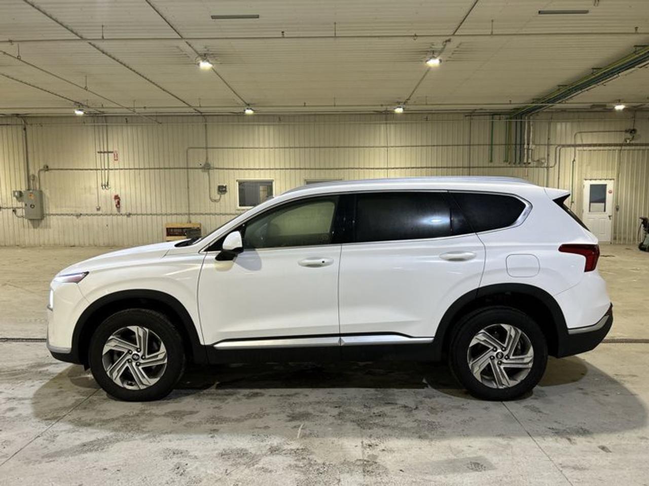 2023 Hyundai Santa Fe Preferred AWD | 360 Camera Photo