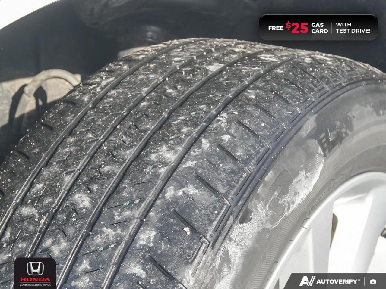 2023 Toyota Camry SE Photo