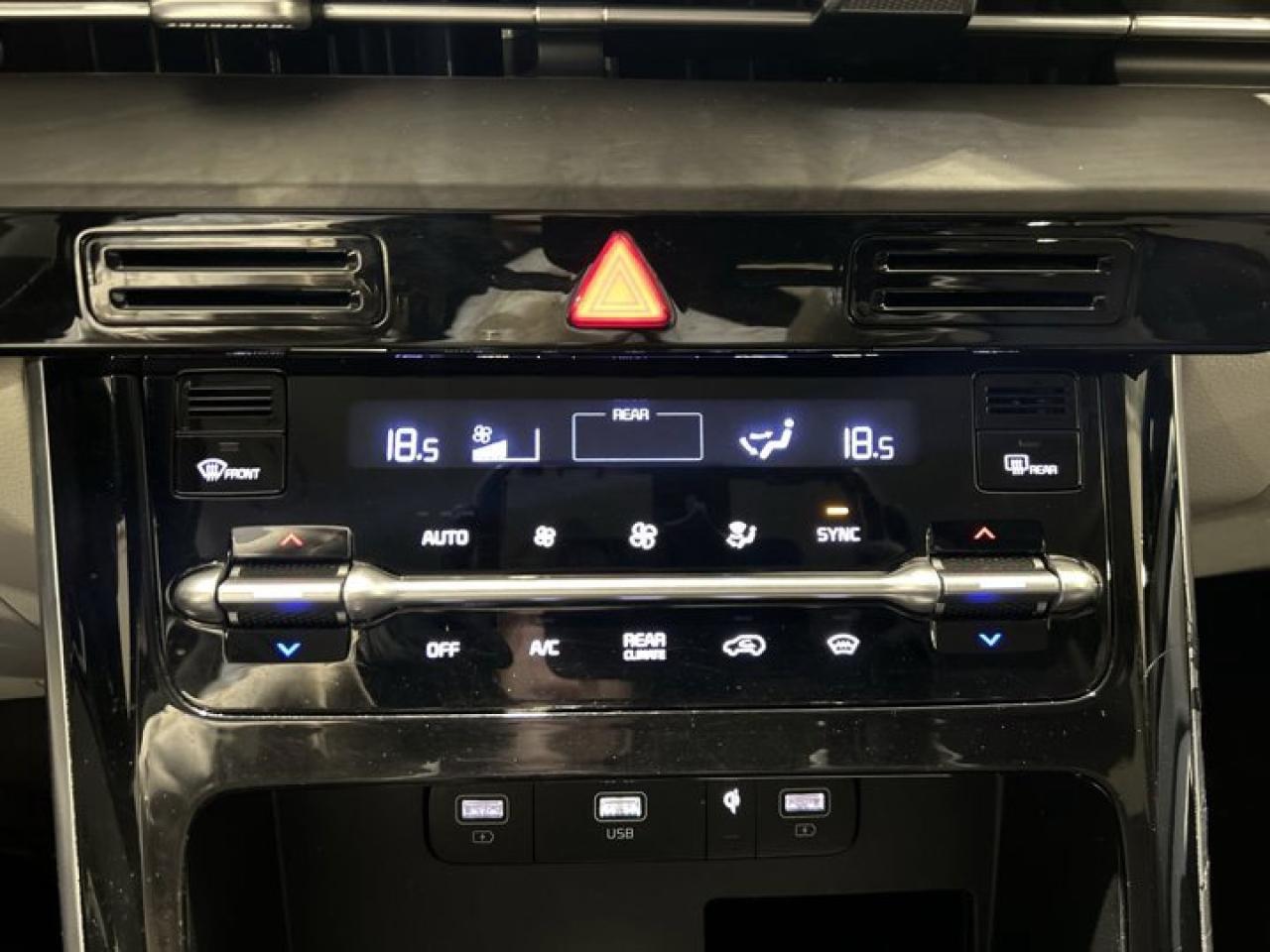 2023 Kia Carnival EX | Remote Start | Leather Seats | Heated Seats Photo