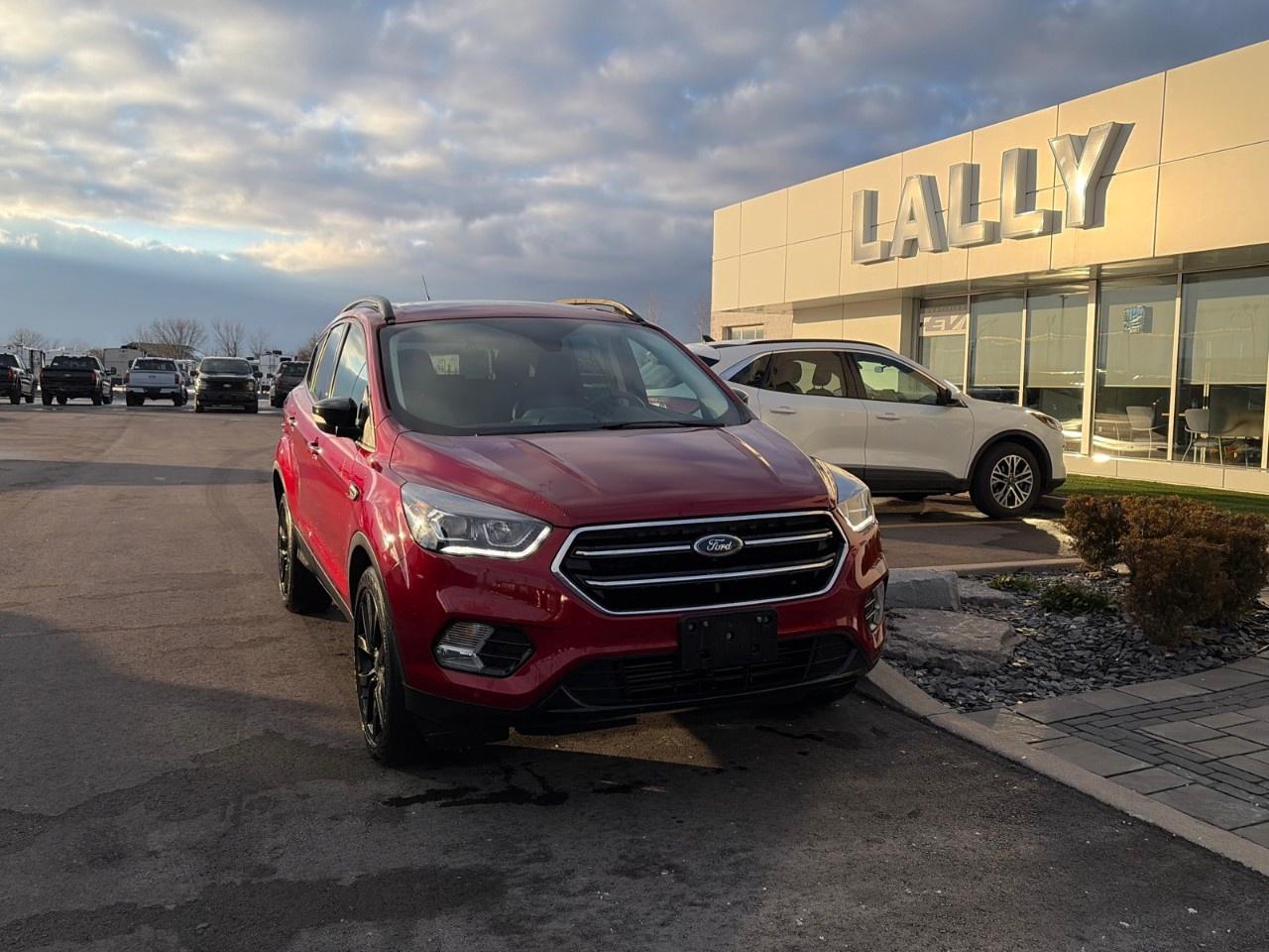 Used 2019 Ford Escape Titanium 4WD for sale in Tilbury, ON