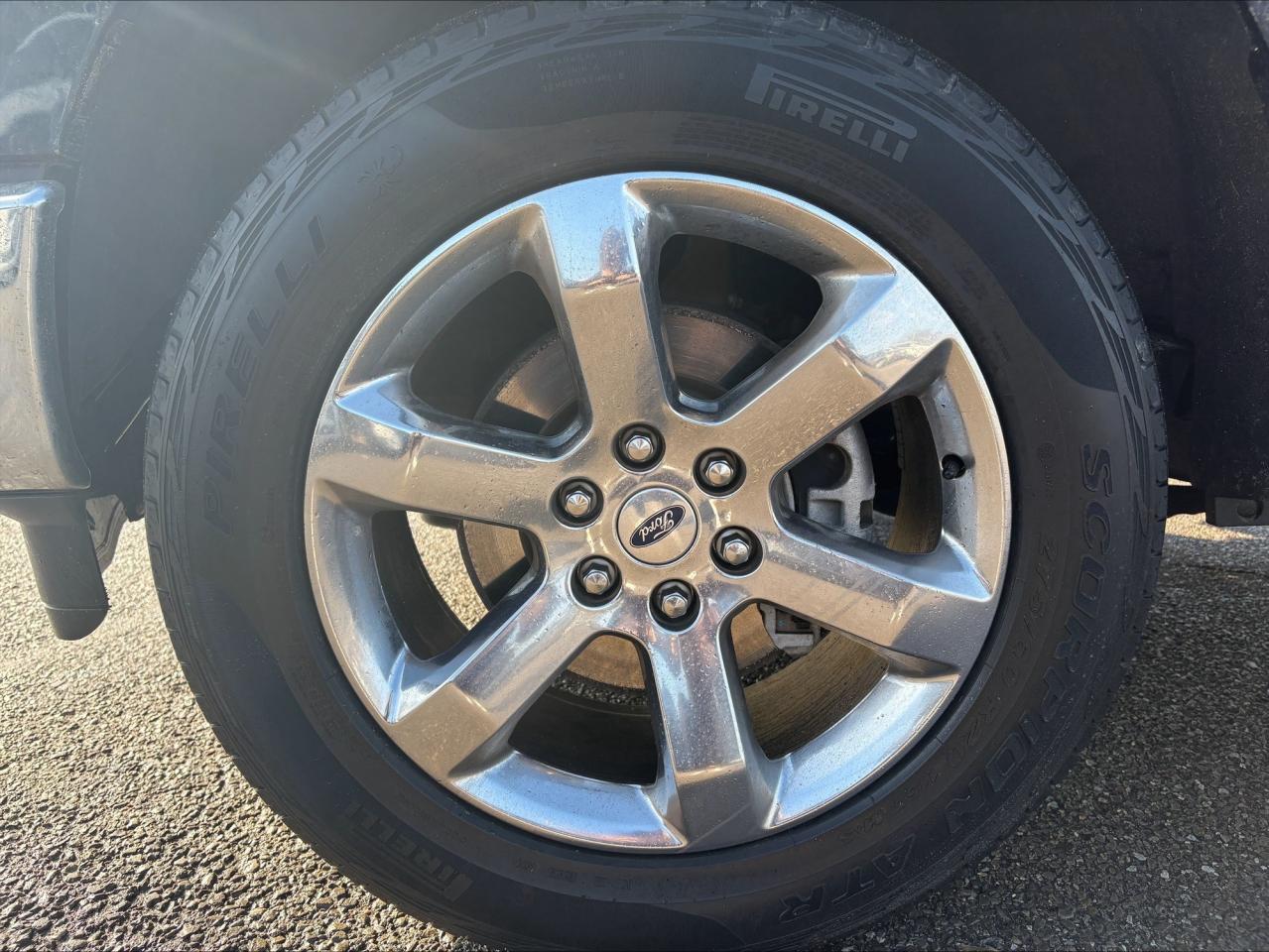 2022 Ford F-150 XLT 302A | NO ACCIDENTS | PANO | TOW | STEP | XTR Photo