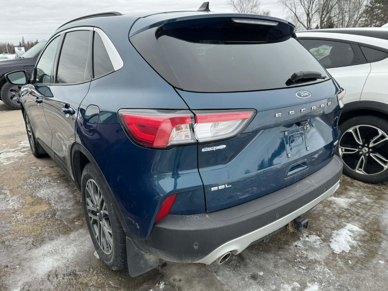 2020 Ford Escape SEL Photo1