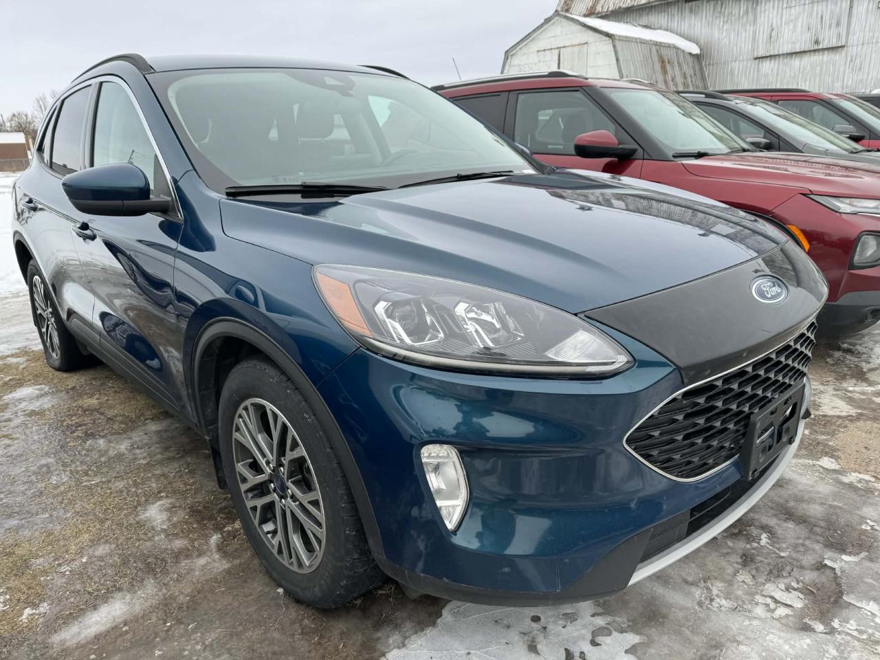 2020 Ford Escape SEL Photo5