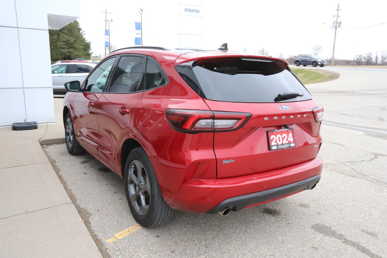 2024 Ford Escape ST-Line AWD Photo