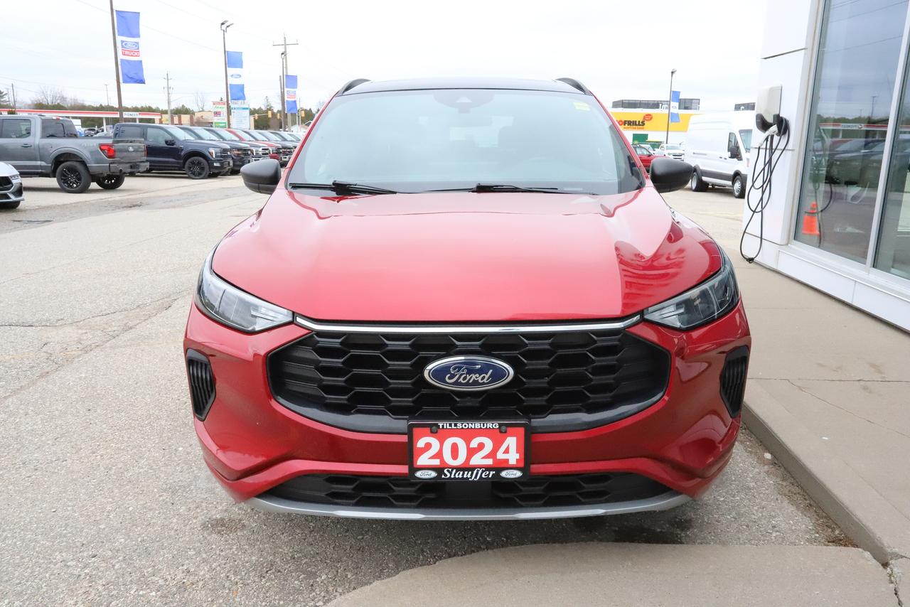 2024 Ford Escape ST-Line AWD Photo