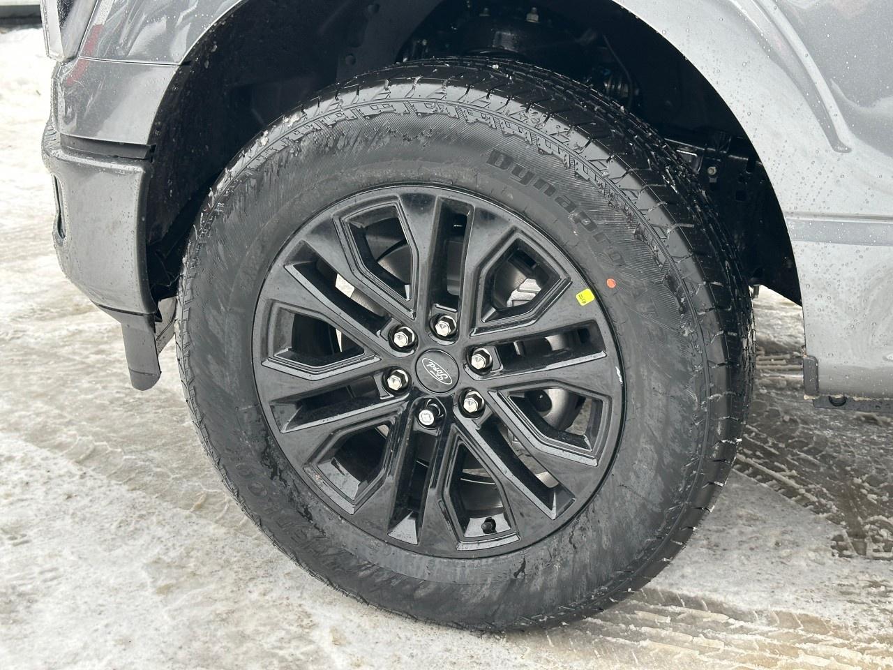 2025 Ford F-150 Lariat 4WD SuperCrew 5.5' Box Photo