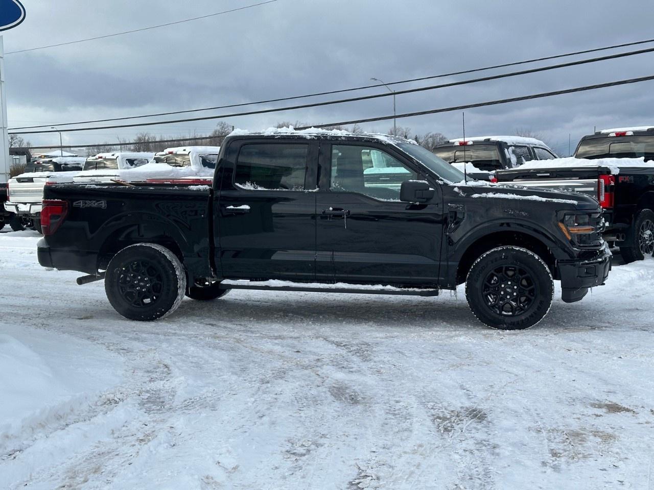 2025 Ford F-150 XLT 4WD SuperCrew 5.5' Box Photo