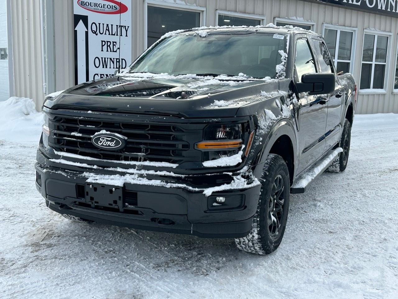 2025 Ford F-150 XLT 4WD SuperCrew 5.5' Box Photo