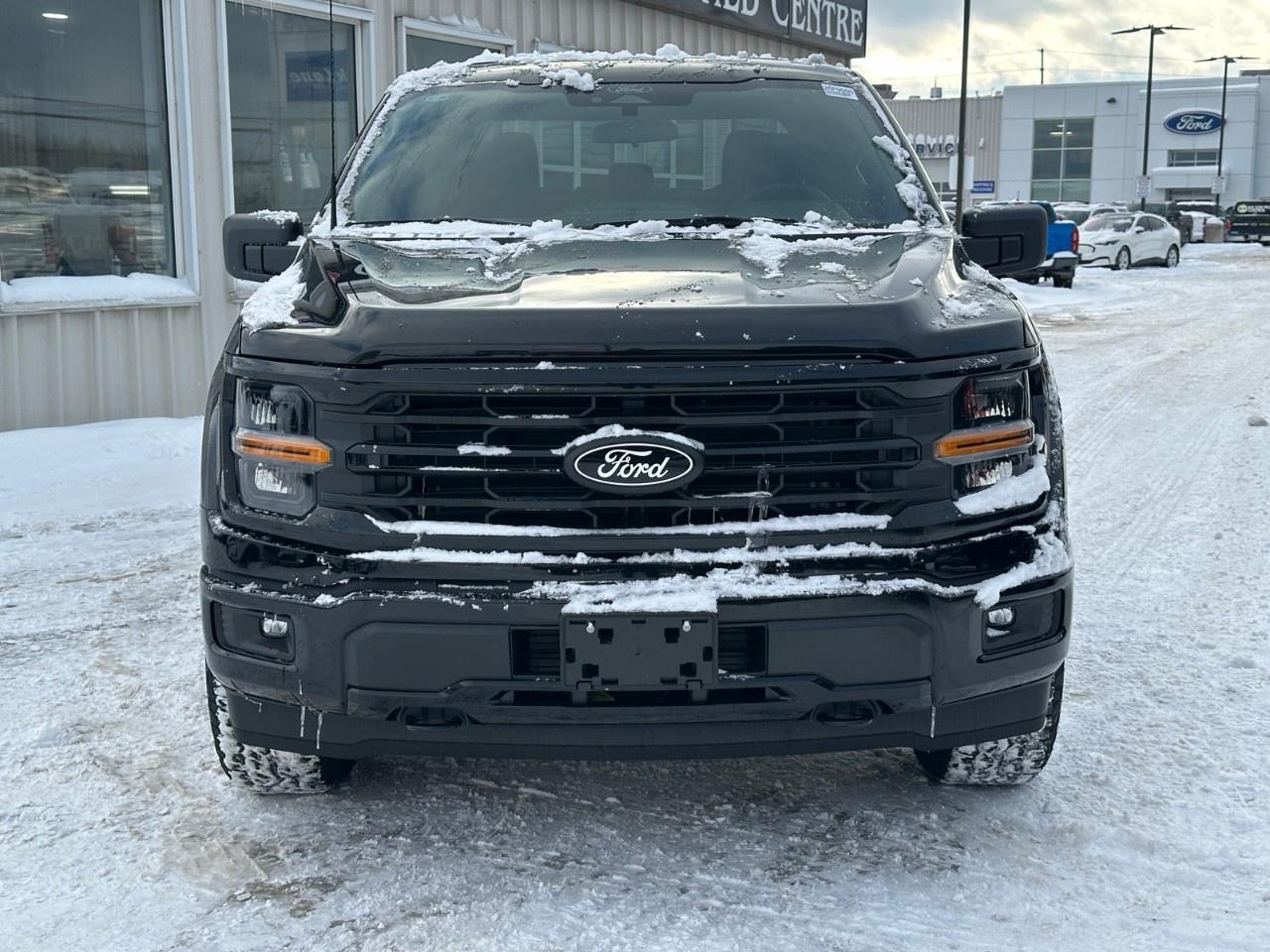 2025 Ford F-150 XLT 4WD SuperCrew 5.5' Box Photo