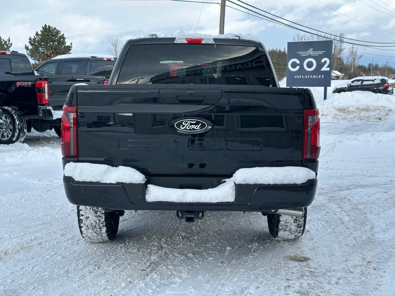 2025 Ford F-150 XLT 4WD SuperCrew 5.5' Box Photo