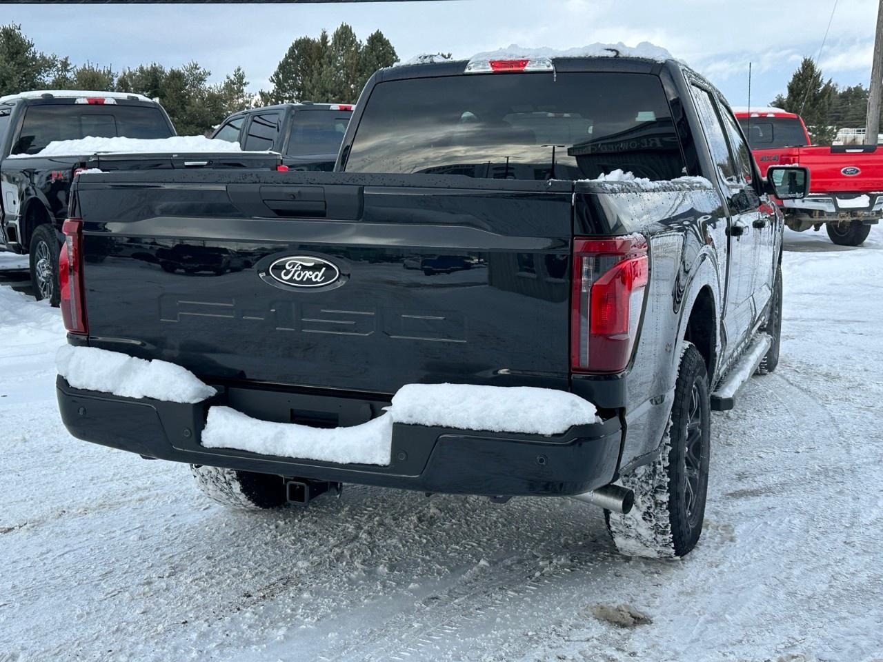 2025 Ford F-150 XLT 4WD SuperCrew 5.5' Box Photo