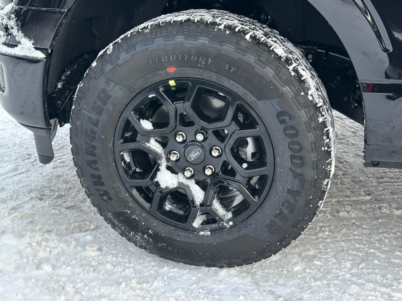 2025 Ford F-150 XLT 4WD SuperCrew 5.5' Box Photo