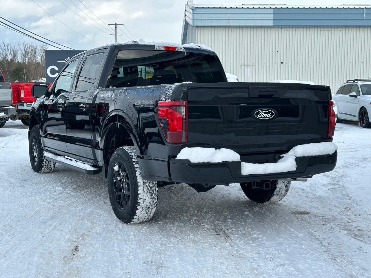 2025 Ford F-150 XLT 4WD SuperCrew 5.5' Box Photo