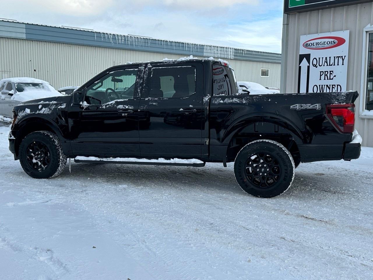 2025 Ford F-150 XLT 4WD SuperCrew 5.5' Box Photo