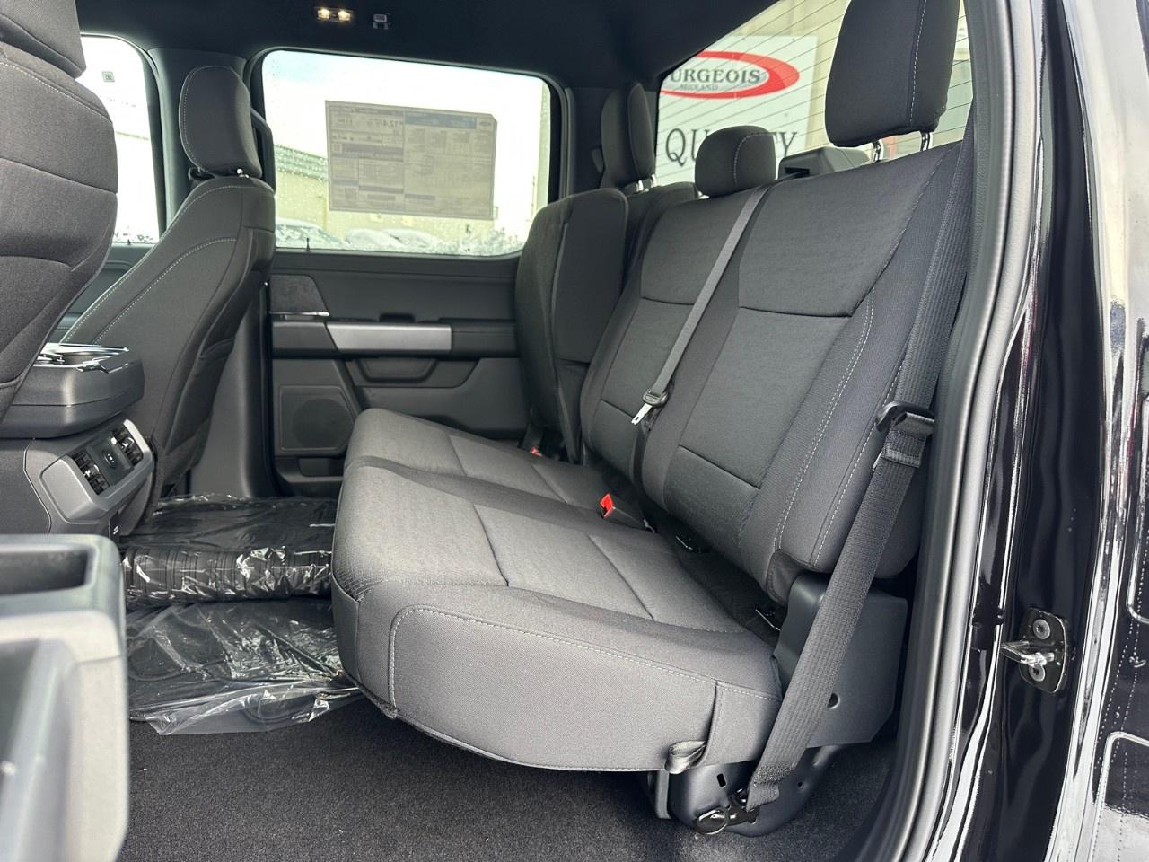 2025 Ford F-150 XLT 4WD SuperCrew 5.5' Box Photo