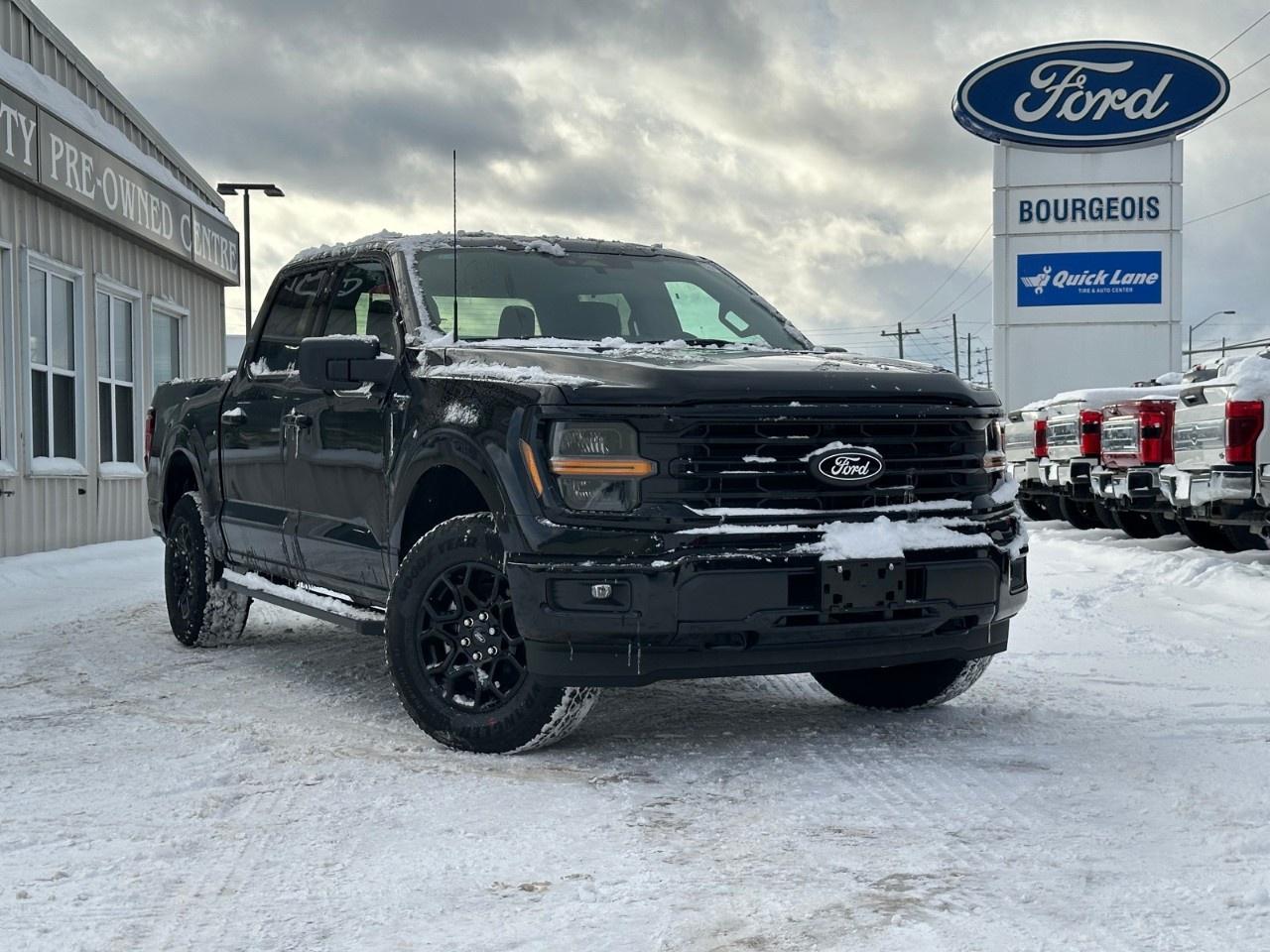 2025 Ford F-150 XLT 4WD SuperCrew 5.5' Box Photo0