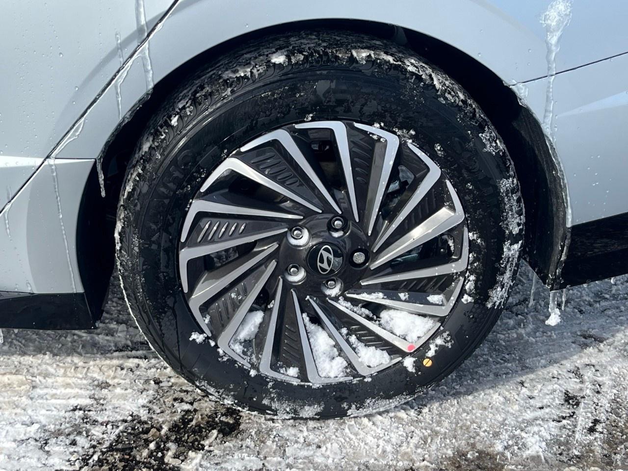 2026 Hyundai Sonata Hybrid Preferred-Trend FWD Photo3