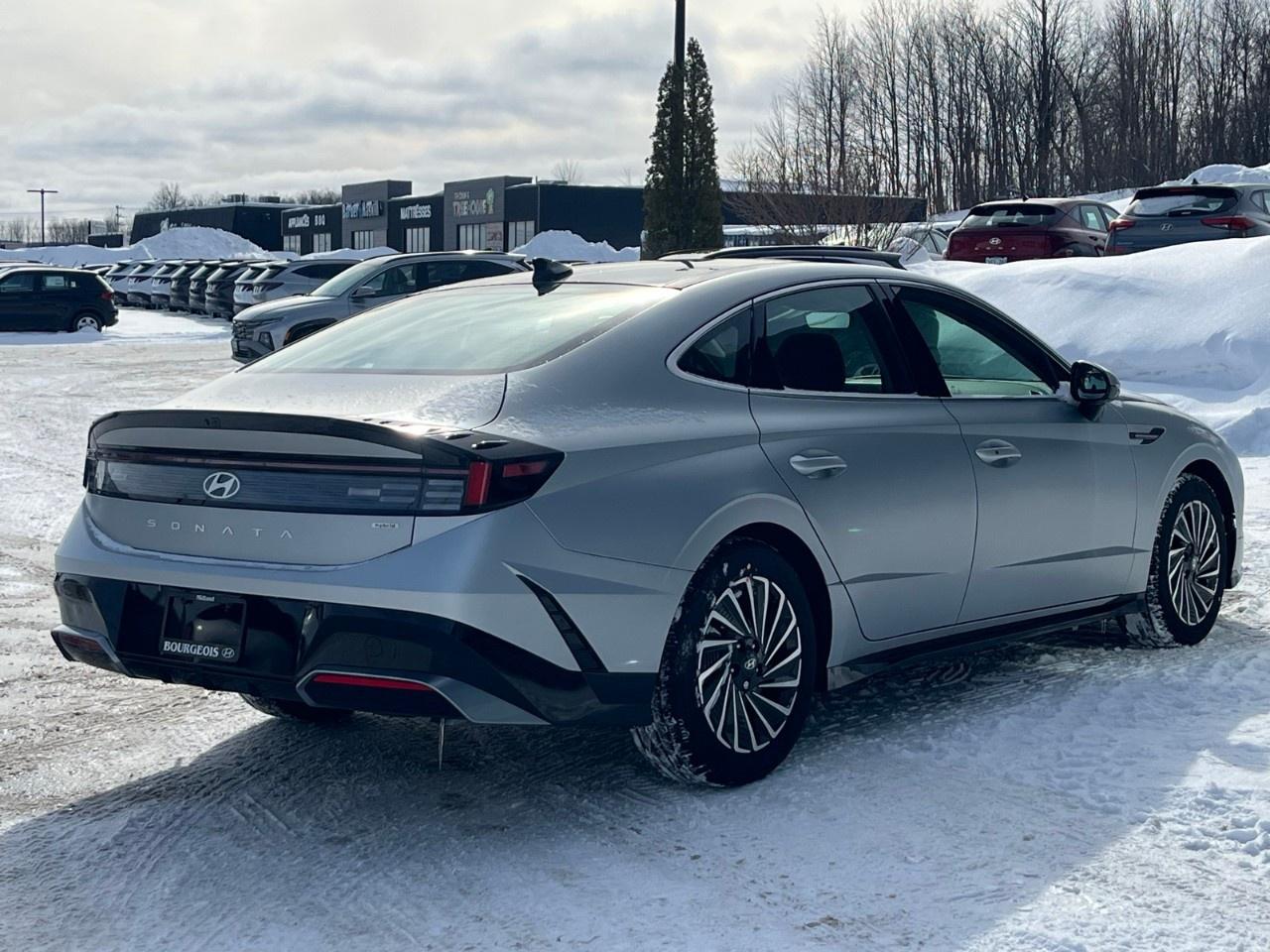 2026 Hyundai Sonata Hybrid Preferred-Trend FWD Photo