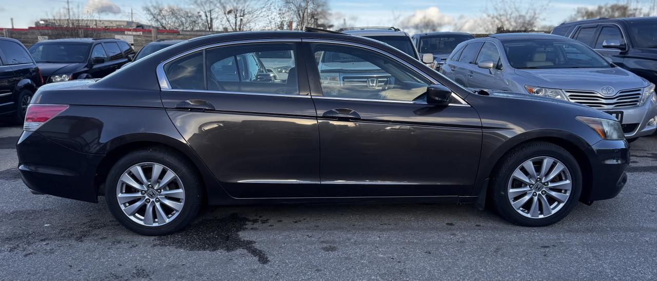 2011 Honda Accord EX Photo