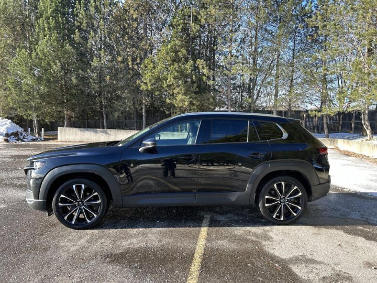 2024 Mazda CX-50 Premium AWD | Panoramic Roof | 360 Camera | Leather Seats Photo