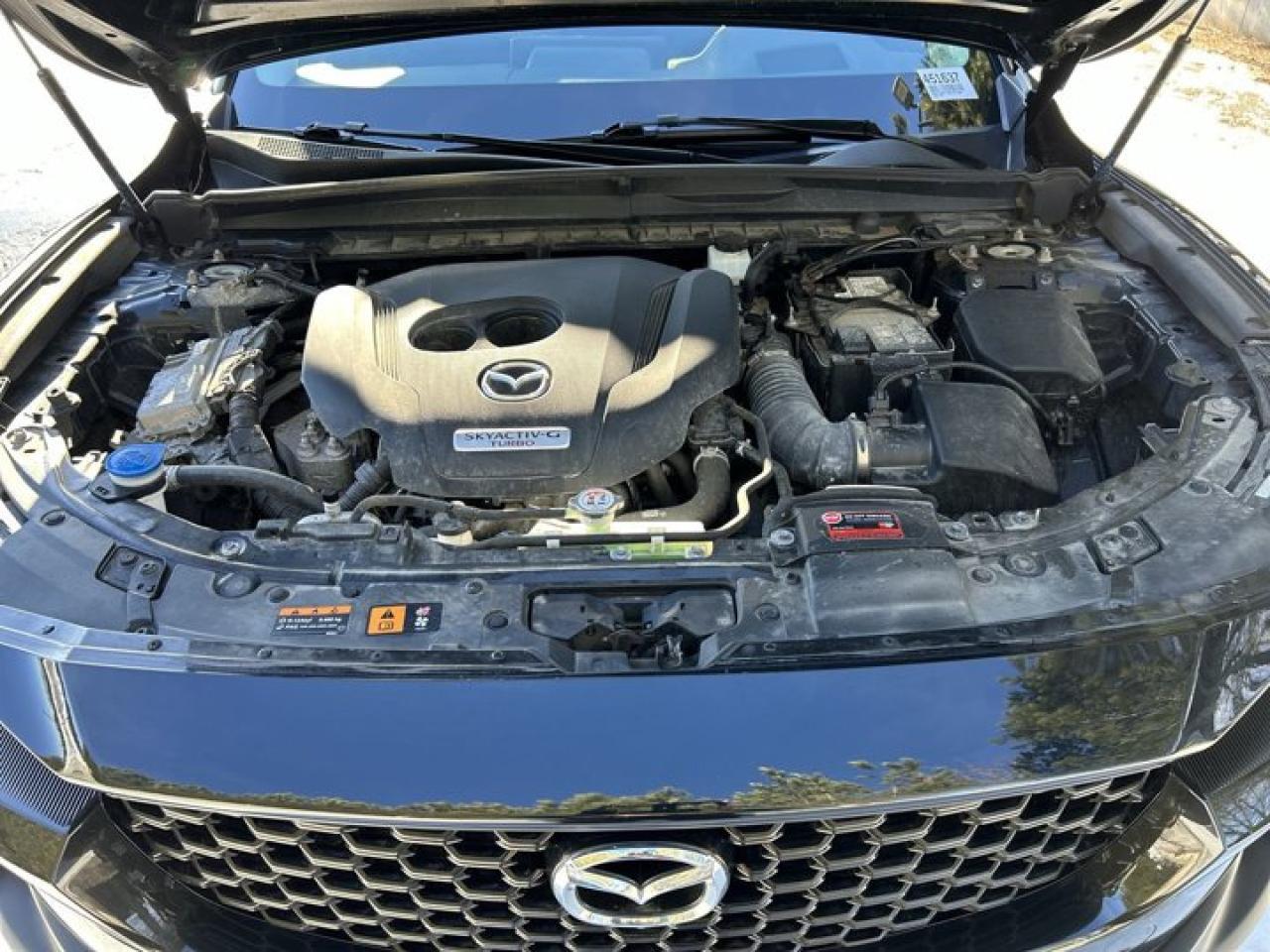 2024 Mazda CX-50 Premium AWD | Panoramic Roof | 360 Camera | Leather Seats Photo